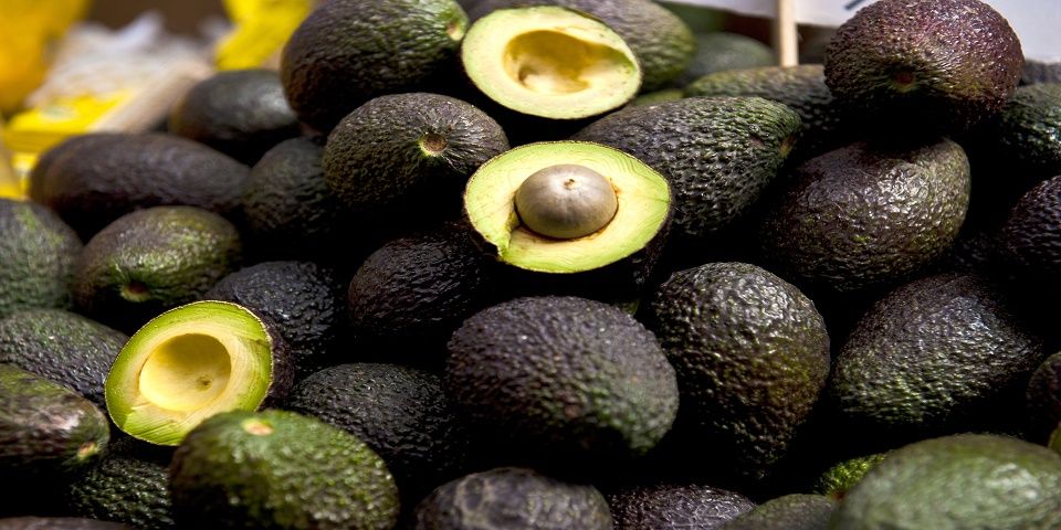 Aguacate, el producto de la canasta básica que más bajó de precio