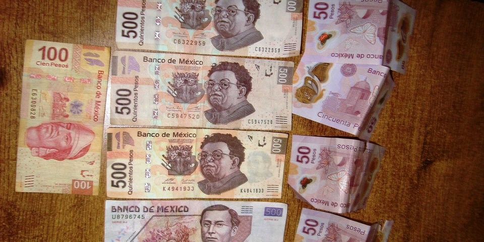 Cómo evitar los billetes falsos