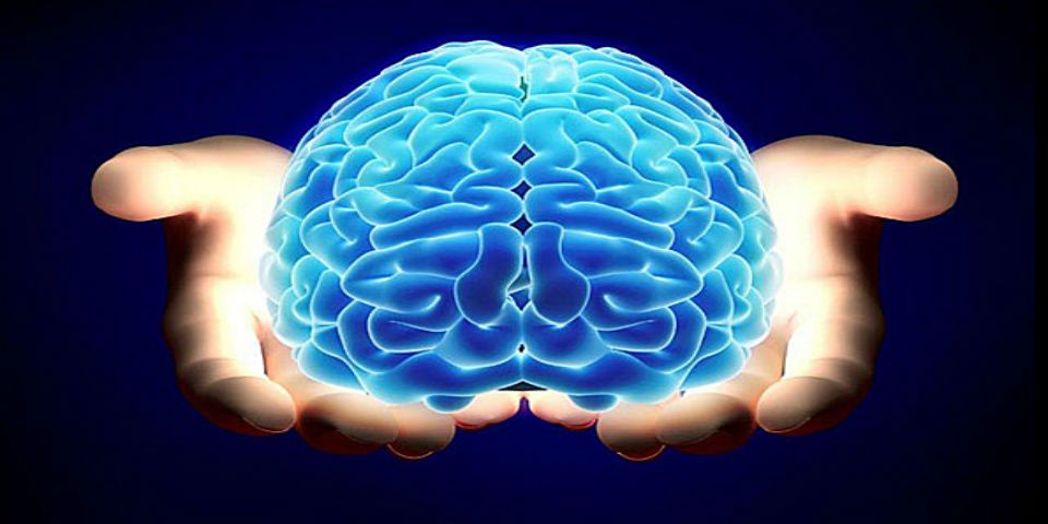 ¿Cómo mantener un cerebro joven hasta los 90 años? ¿Cómo mantener un cerebro joven hasta los 90 años?