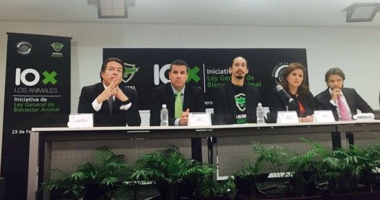 Exigen a senadores una tutoría responsable sobre los animales - Eugenio-Derbez-Marco-Regil-Senado-AnimalHeroes