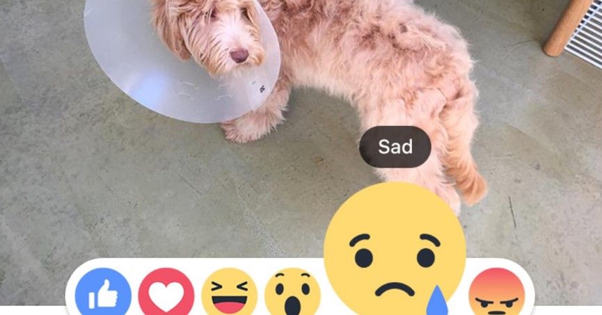 Cinco cosas que debes conocer de Reacciones de Facebook - Facebook-me-gusta3