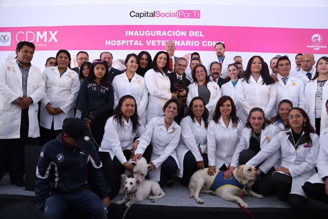 Inauguran primer hospital veterinario público