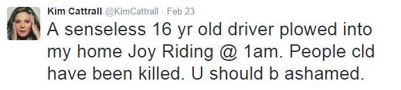 Joven estrella su automóvil contra la casa de Kim Cattrall - Kim-Cattrall-tuit