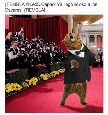 Los mejores memes de los Óscar - MEME-6