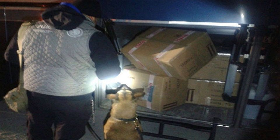 Asegura PGR 119 kilogramos de mariguana en Nuevo León