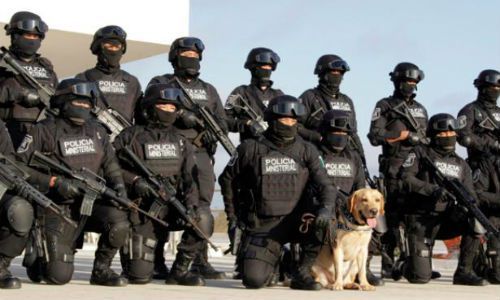 Confirman detención de jefe de sicarios de Los Rojos