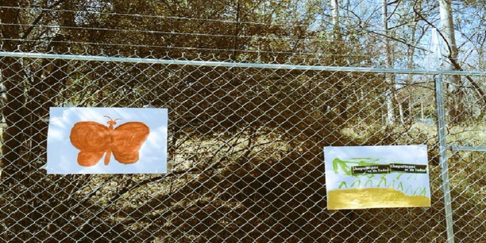 Convoca campaña a manifestación contra megarrueda en Chapultepec