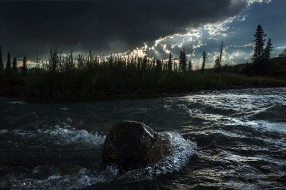 La mirada de Lubezki en 'El Renacido' - Screenshot_17-9