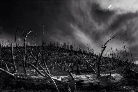 La mirada de Lubezki en 'El Renacido' - Screenshot_18-7