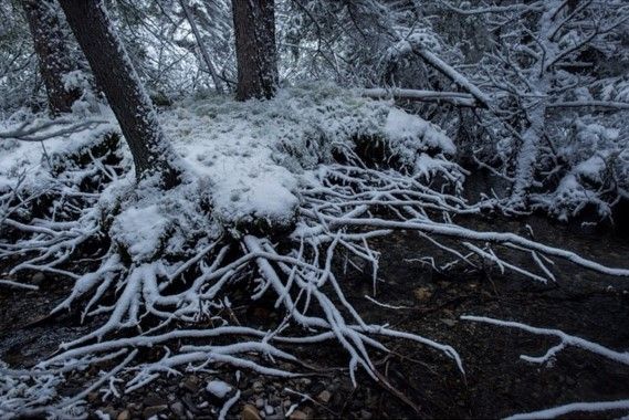 La mirada de Lubezki en 'El Renacido' - Screenshot_19-7