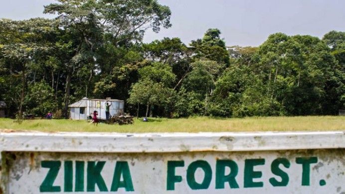 ¿Dónde nació el virus del Zika? ¿Dónde nació el virus del Zika?