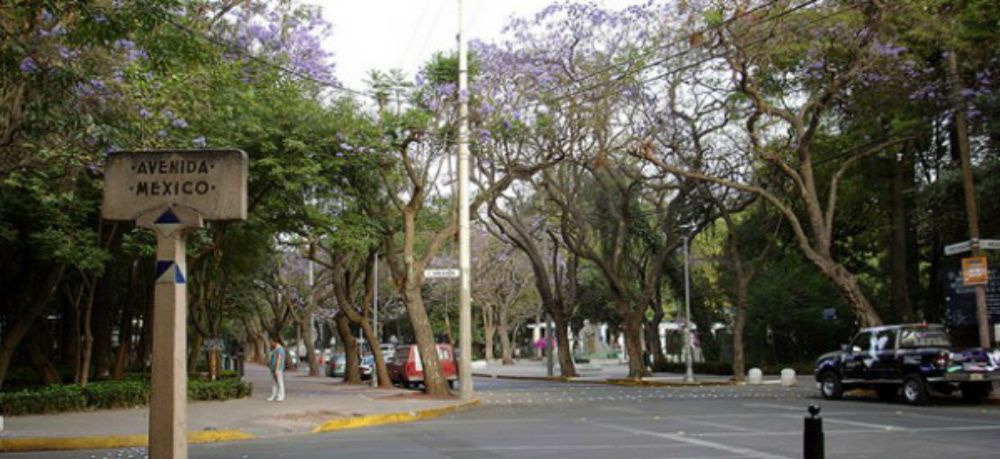 Las colonias con mayor plusvalía en la Ciudad de México - colonia-Condesa