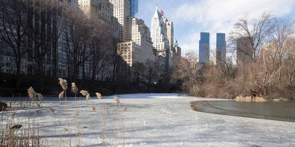Nueva York vive su 14 de febrero más frío en 100 años
