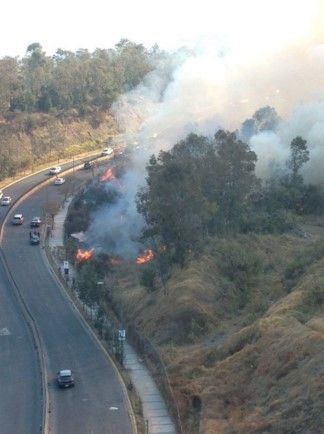 Pastizales se incendian en Santa Fe