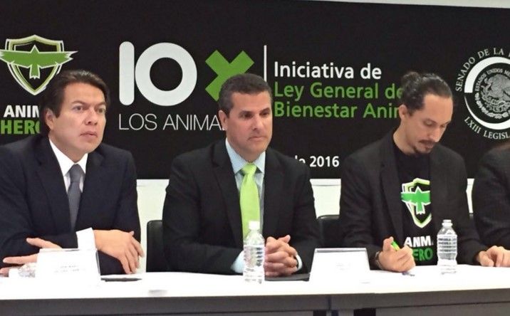 Exigen a senadores una tutoría responsable sobre los animales - marco-regil-senado-animalheroes