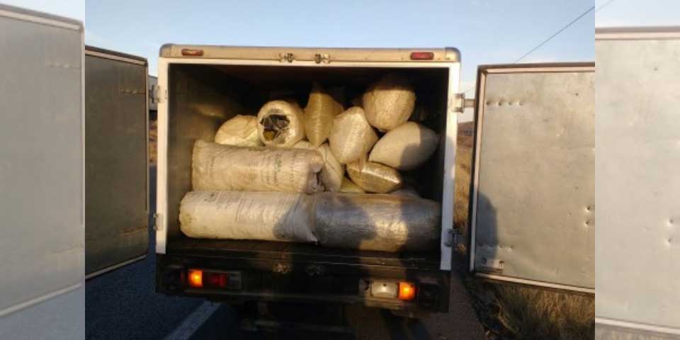Interceptan casi media tonelada de mariguana en Chihuahua Interceptan casi media tonelada de mariguana en Chihuahua