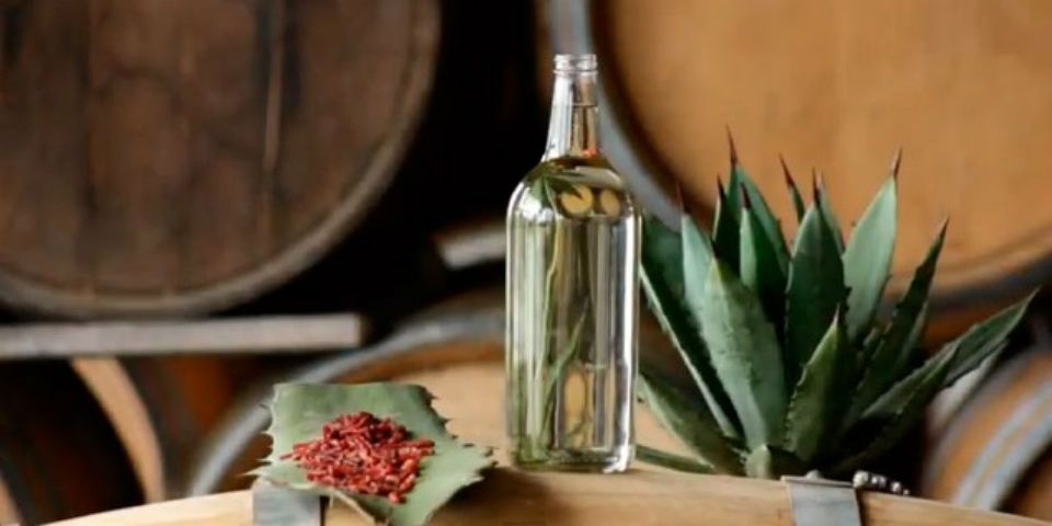¿Le cambiarán el nombre al mezcal?