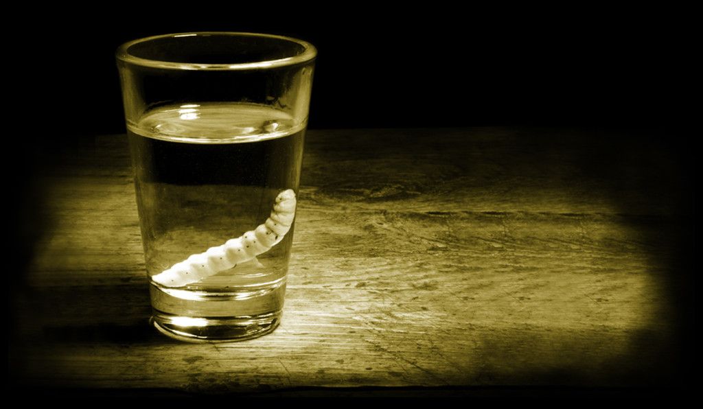 ¿Le cambiarán el nombre al mezcal? - mezcal_0-1024x596