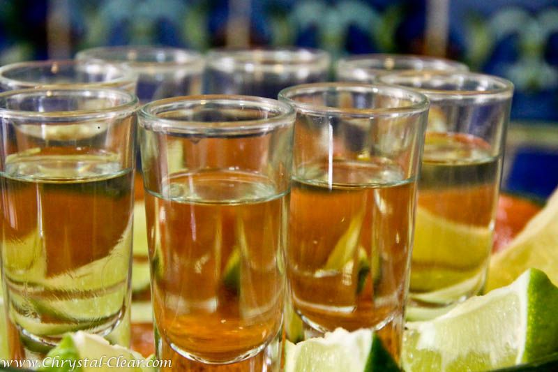 Exportación de mezcal "Hecho en México" creció en 2016 - oaxacamexicocuisine2