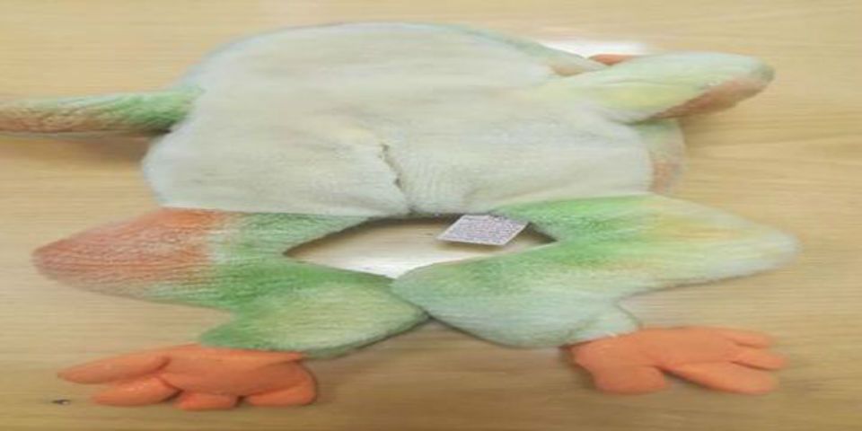 PF asegura droga oculta en rana de peluche PF asegura droga oculta en rana de peluche