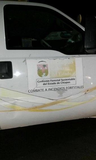 Talan árboles en San Cristóbal de las Casas por visita del papa Francisco