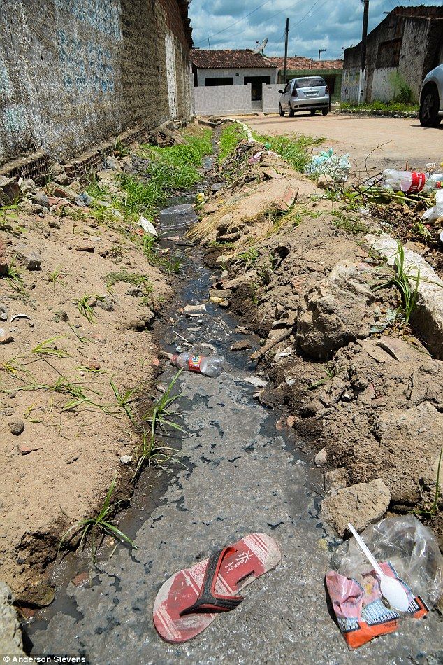 El pueblo en el que 500 al día contraen Zika - zika-brasil-14
