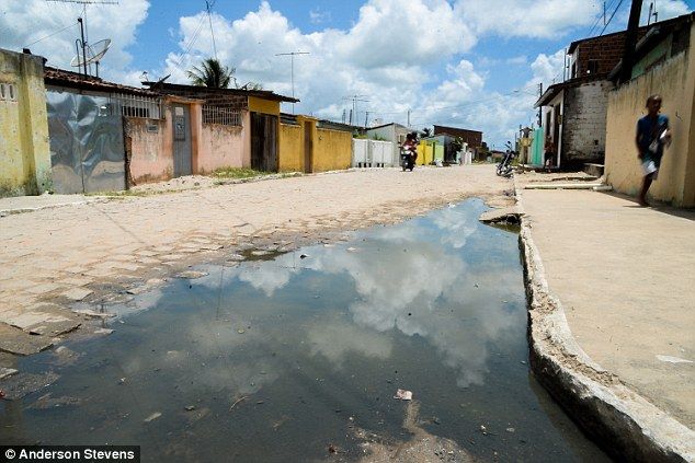 El pueblo en el que 500 al día contraen Zika - zika-brasil-15