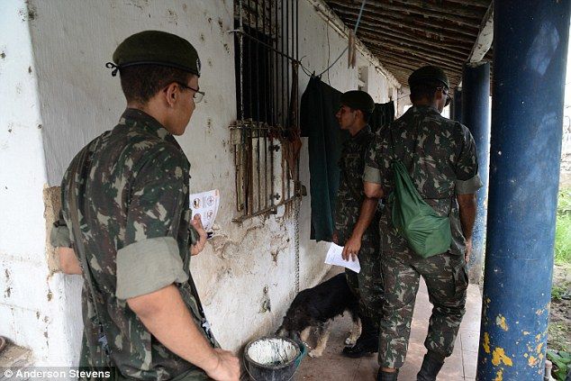 El pueblo en el que 500 al día contraen Zika - zika-brasil-6