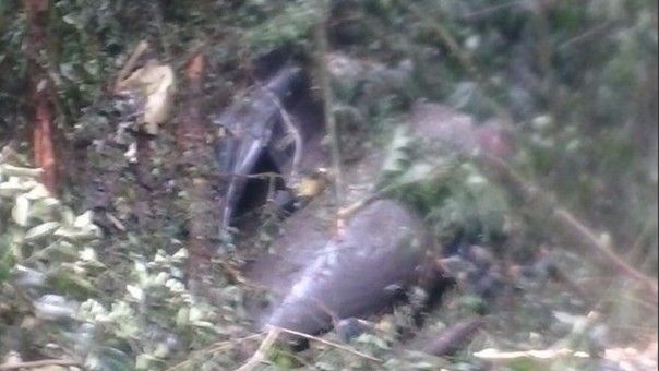 Mueren 22 militares al caer avión del ejército ecuatoriano