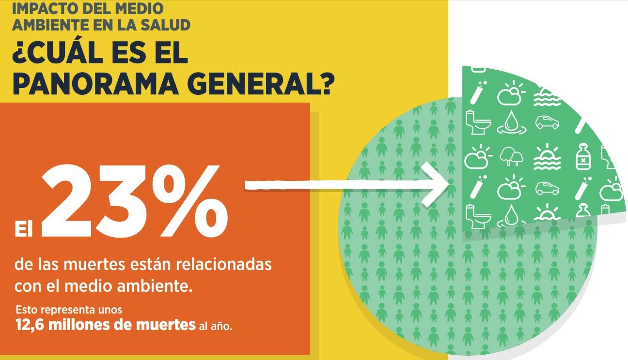Una de cada cuatro muertes en el mundo se deben a causas ambientales: OMS - 23-Por-ciento-OMS