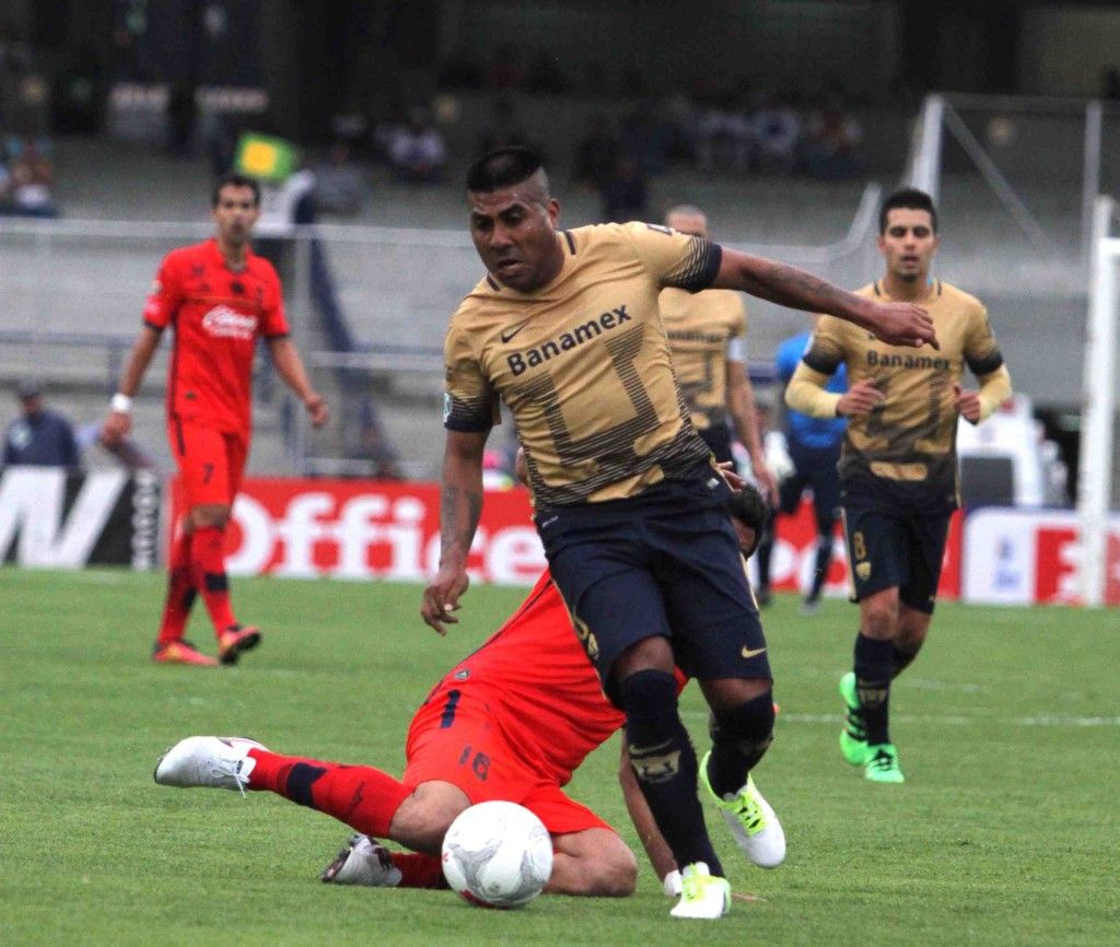Pumas gana en casa - 60320243-1024x866