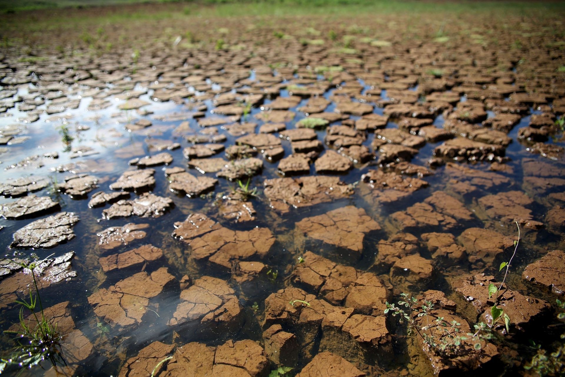 Ciudad de México y Sao Paulo, en crisis por el agua - Agua-Sao-Paulo-3