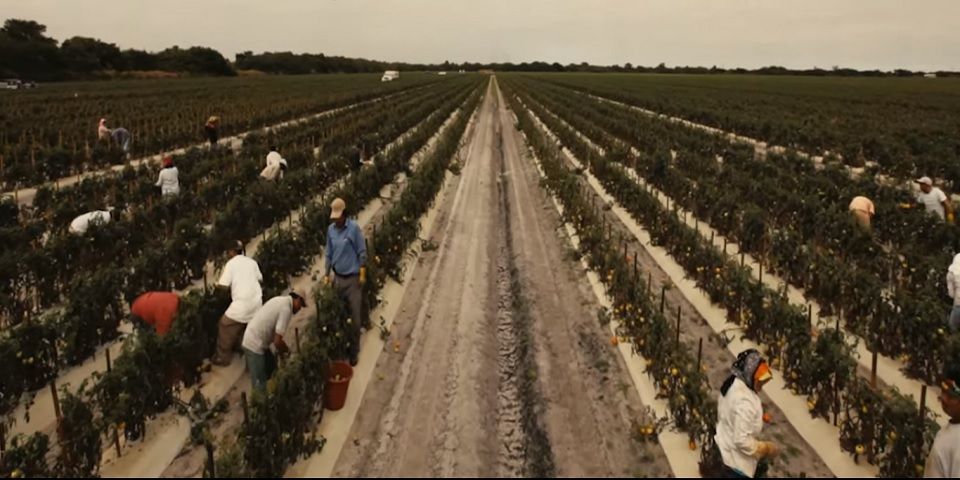 Video: el spot en español de Bernie Sanders