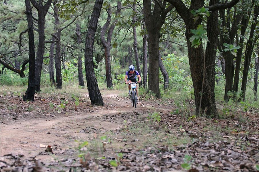Los cinco lugares que debe visitar cerca de Guadalajara - Bosque-la-primavera