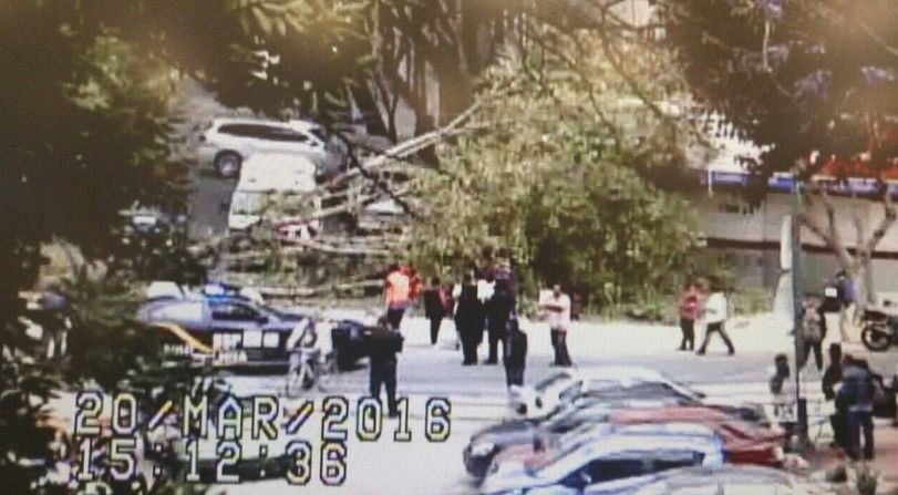 Cae árbol en la colonia San Rafael: seis heridos