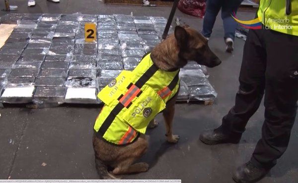 Descubren paquetes de droga al interior de un tomógrafo - CerIJljWwAAwwhx