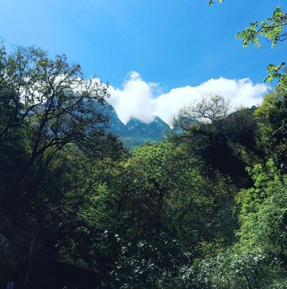 Cinco lugares que debe visitar cerca de Monterrey - Chipinque-Parque-Chipinque