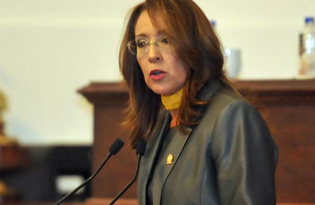 Metro perdió al menos 60 mdp por contingencia - Elena-Edith-Segura-Trejo-diputada