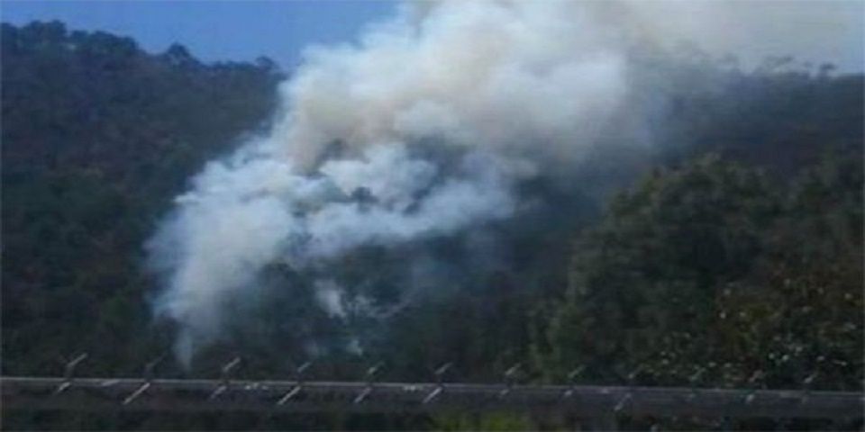 Fuego consume más de 60 hectáreas en bosque de Nuevo León