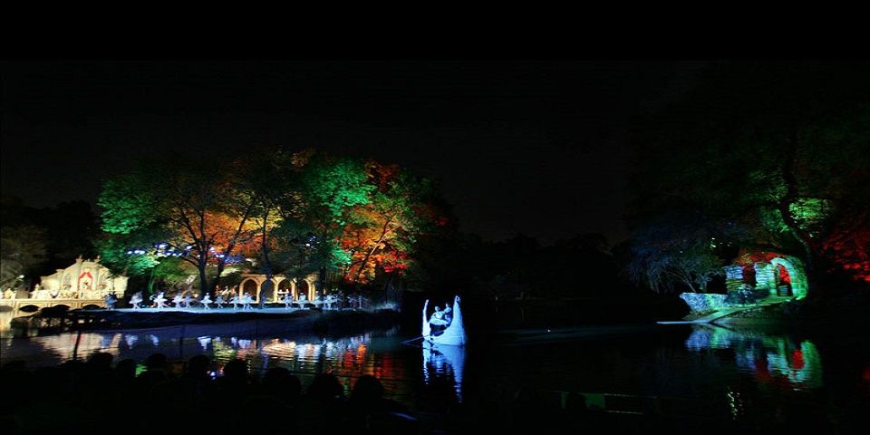 Cancelan por tercera vez función de “El Lago de los Cisnes”