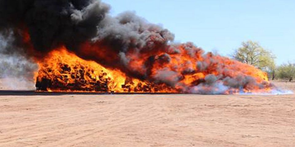 Incineran en Sonora más de 24 toneladas de mariguana