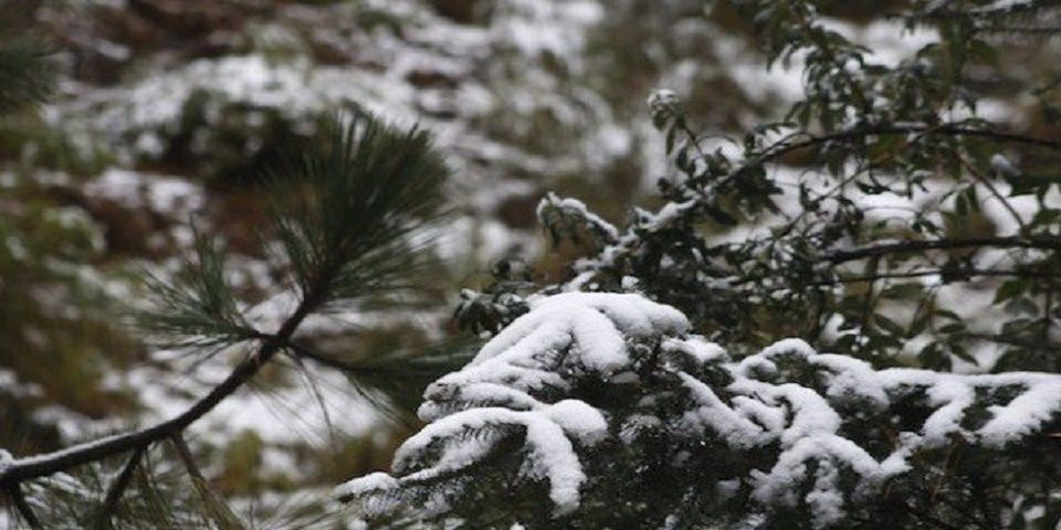 Nevará en el Valle de México Nevará en el Valle de México