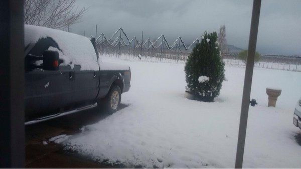 Levantan emergencia en 22 municipios de Chihuahua