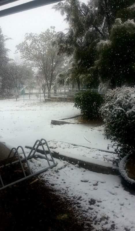 Nevadas en Chihuahua, Sonora, Zacatecas, y Nayarit - Nevadas-La-Masita-Monte-Escobedo-zacatecas