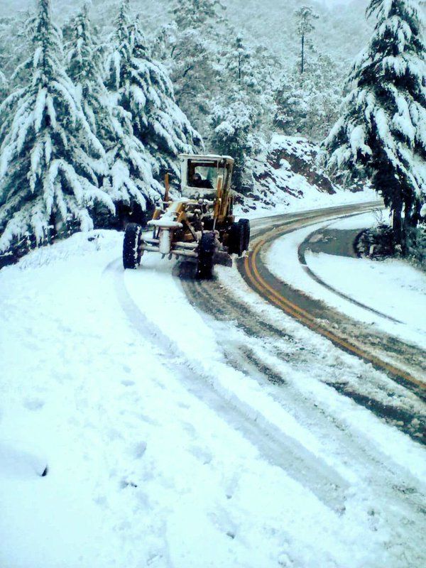 Nevadas en Chihuahua, Sonora, Zacatecas, y Nayarit - Nevadas-Yecora-Sonora
