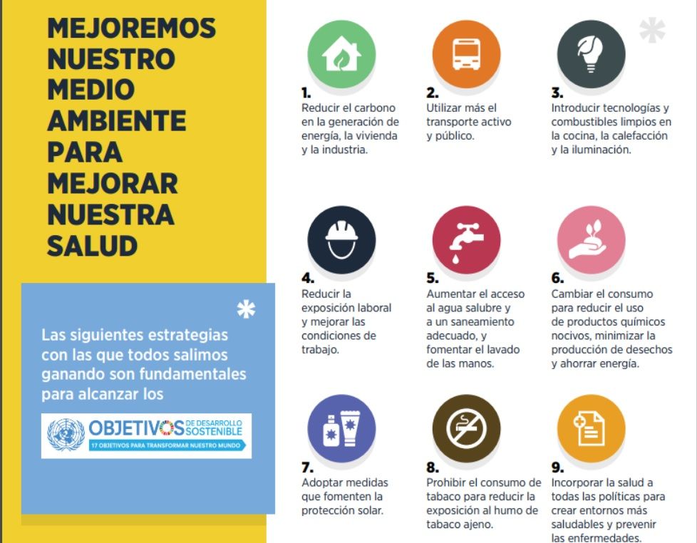 Una de cada cuatro muertes en el mundo se deben a causas ambientales: OMS - OMS-Estrategias