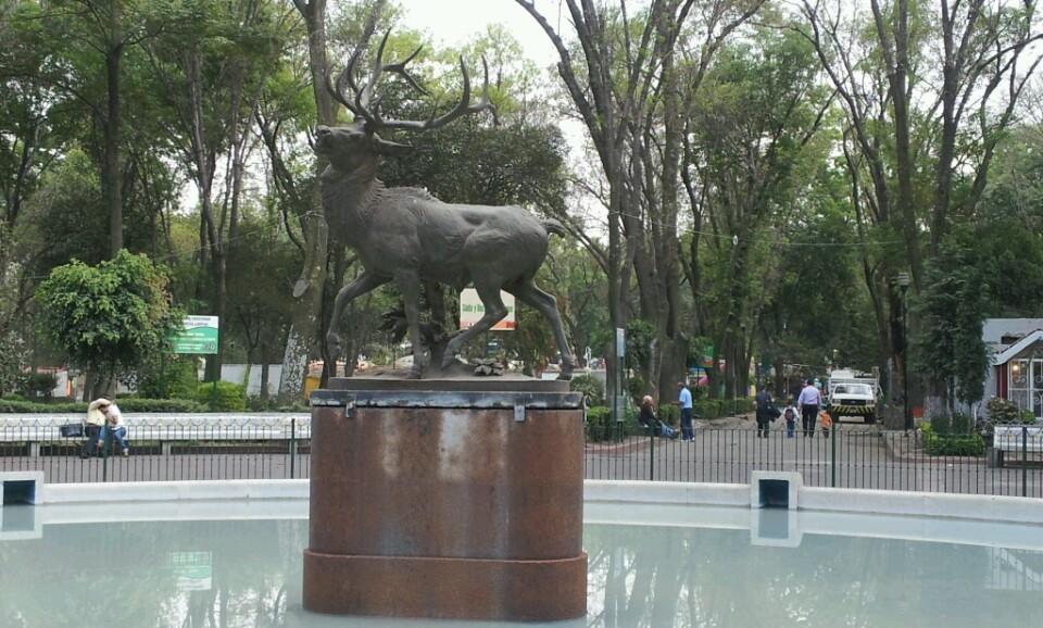 Milpa Alta y Xochimilco, las delegaciones menos desarrolladas de la Ciudad de México - Parque-Venados