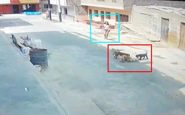 Video: arrolló a un perro y se dio a la fuga - Perro-atropellado-Peru-El-Comercio3