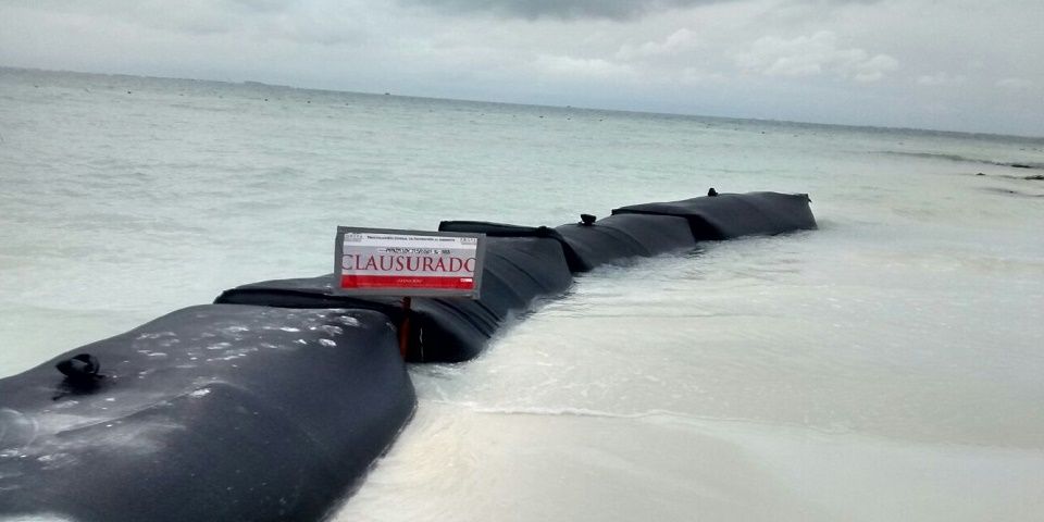 Multa Profepa a hotel en Cancún por daños a duna costera