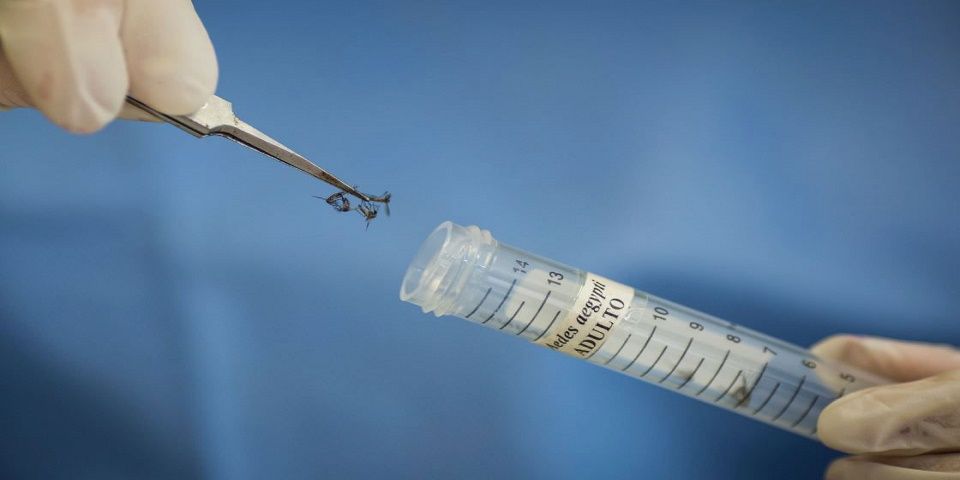 Suman 183 casos de Zika en el país: SSA